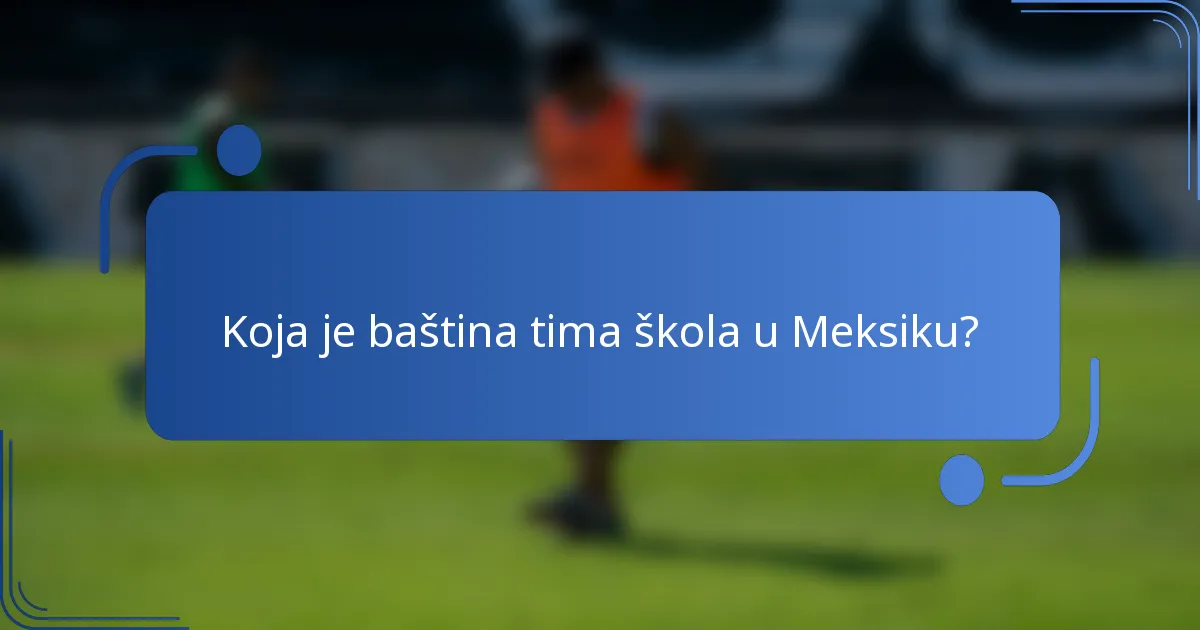 Koja je baština tima škola u Meksiku?