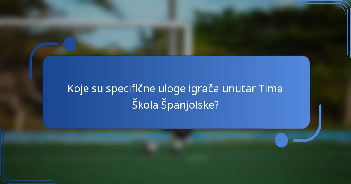 Koje su specifične uloge igrača unutar Tima Škola Španjolske?