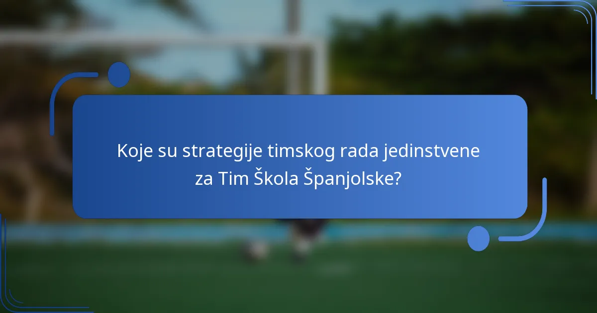 Koje su strategije timskog rada jedinstvene za Tim Škola Španjolske?